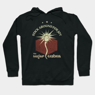 Stick Around for Joy 1989 - Disstresed Vintage Style Hoodie